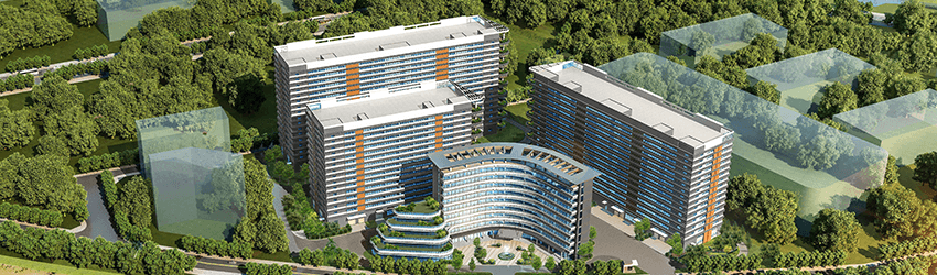 孕妇仑乱A级毛片免费看