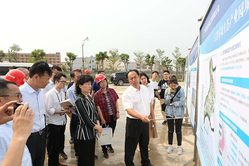 孕妇仑乱A级毛片免费看