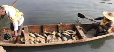 孕妇仑乱A级毛片免费看