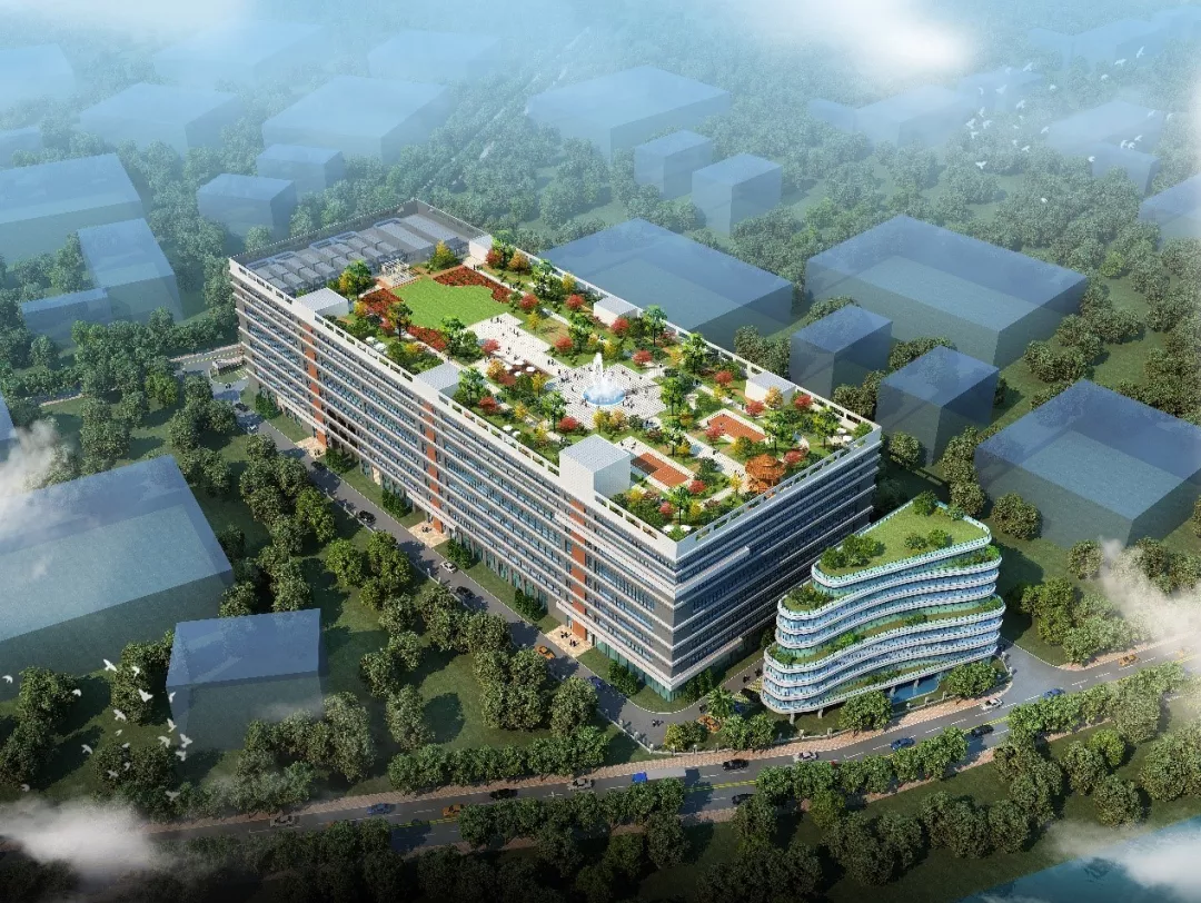 孕妇仑乱A级毛片免费看