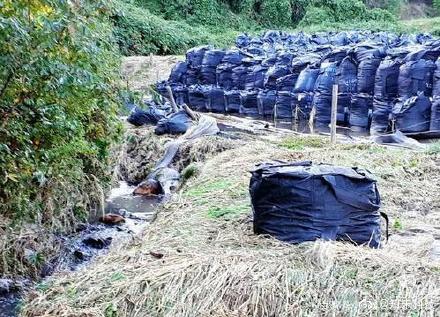 孕妇仑乱A级毛片免费看