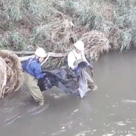 孕妇仑乱A级毛片免费看