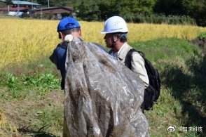 孕妇仑乱A级毛片免费看