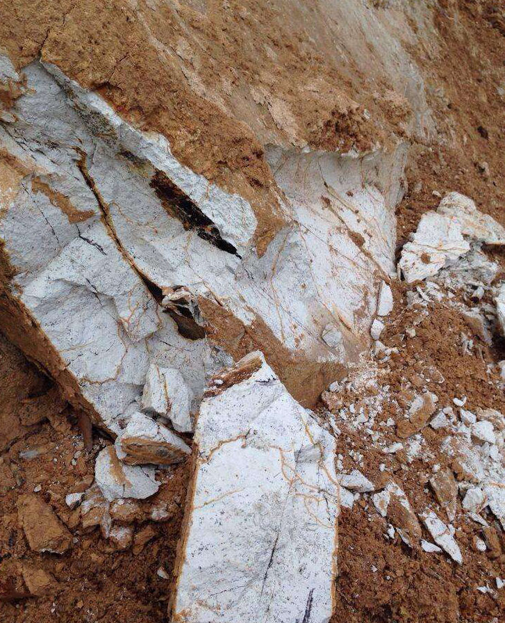 孕妇仑乱A级毛片免费看