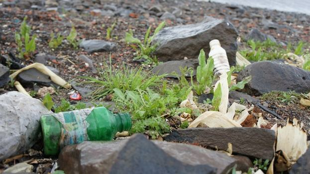 孕妇仑乱A级毛片免费看