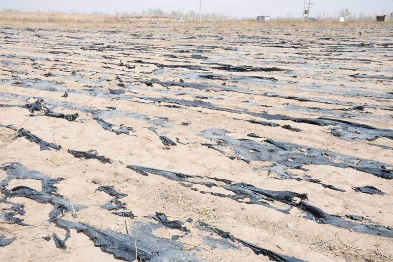 孕妇仑乱A级毛片免费看