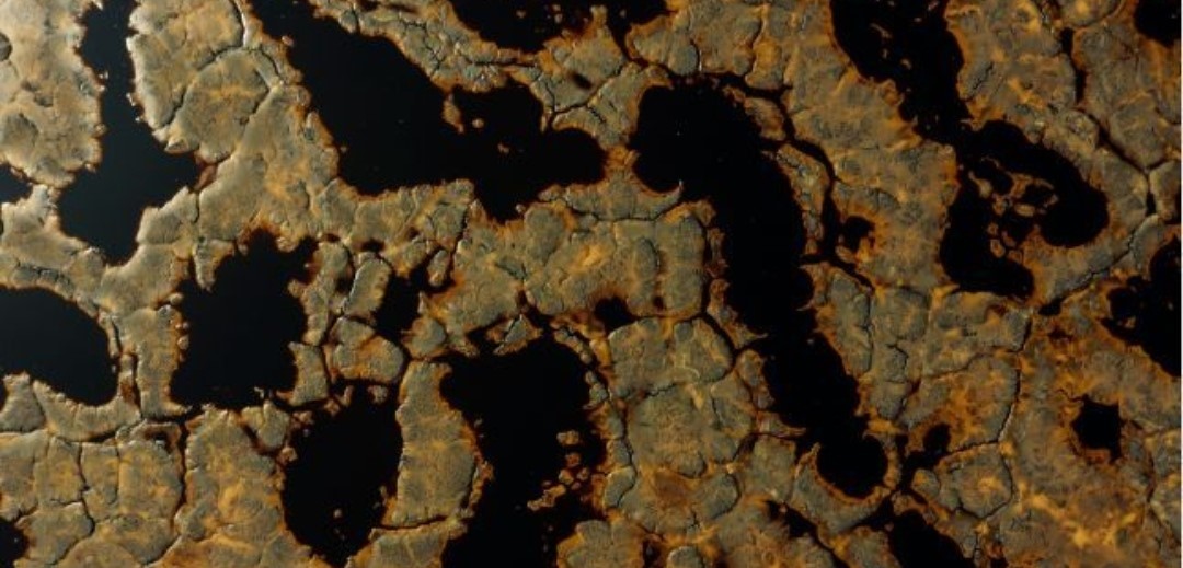 孕妇仑乱A级毛片免费看