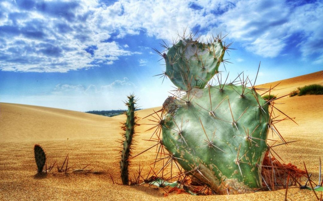 孕妇仑乱A级毛片免费看