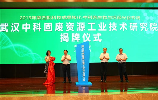 孕妇仑乱A级毛片免费看