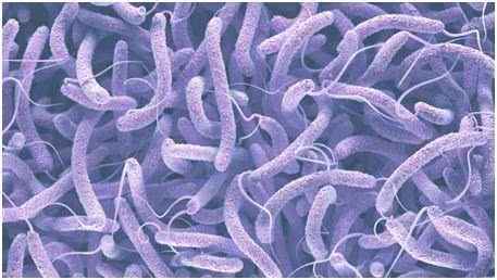 孕妇仑乱A级毛片免费看