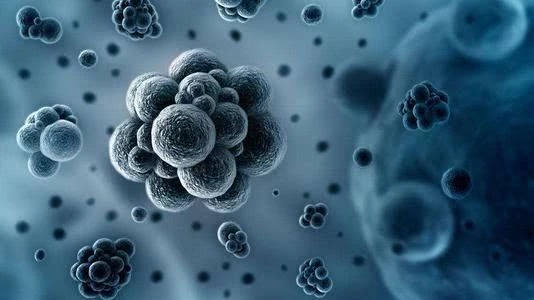 孕妇仑乱A级毛片免费看