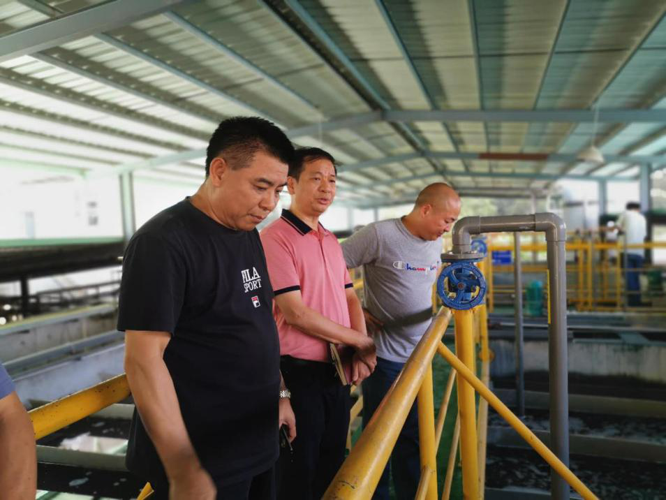 孕妇仑乱A级毛片免费看